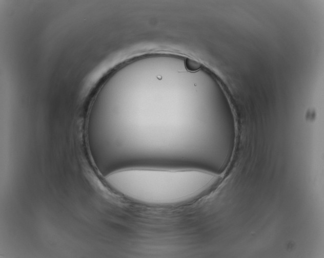 X0000093121503200709261002