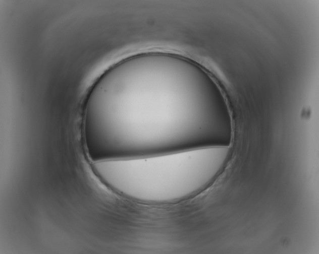 X0000093121504200709261002