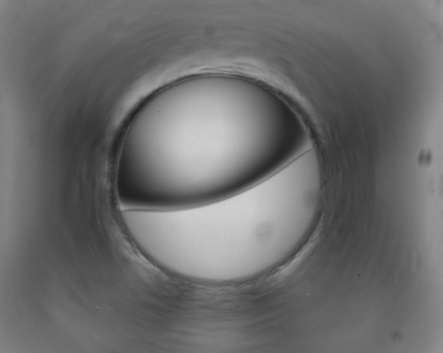 X0000093121506200709261002
