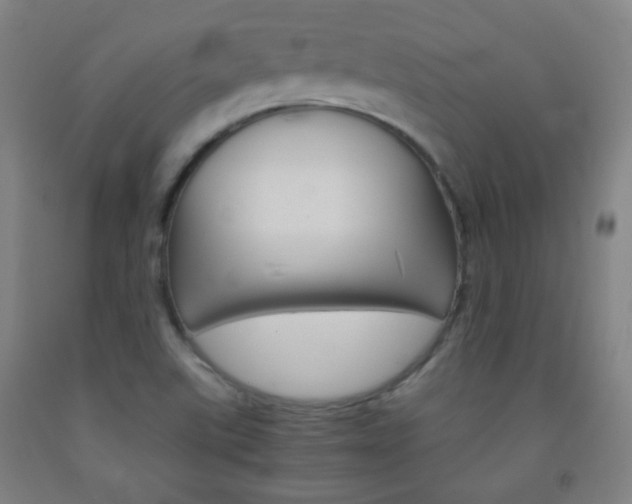 X0000093121507200709261002