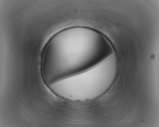 X0000093121508200709261002