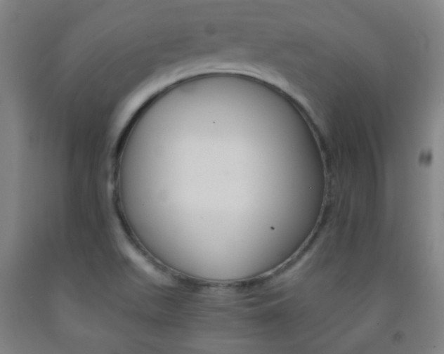 X0000093121511200709261002