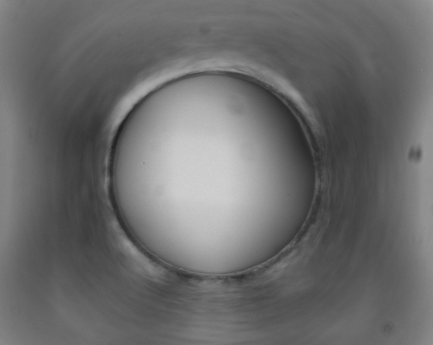 X0000093121512200709261002