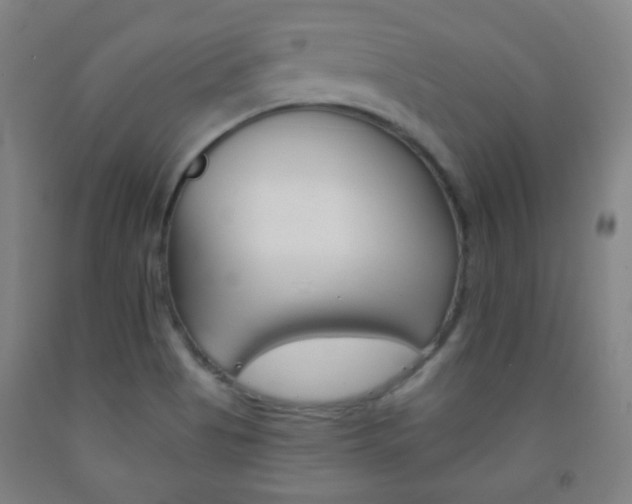X0000093121513200709261002