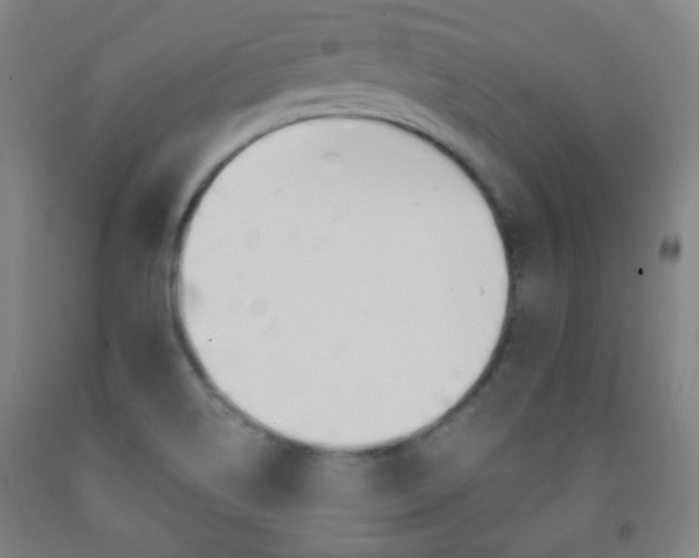 X0000093121514200709261002