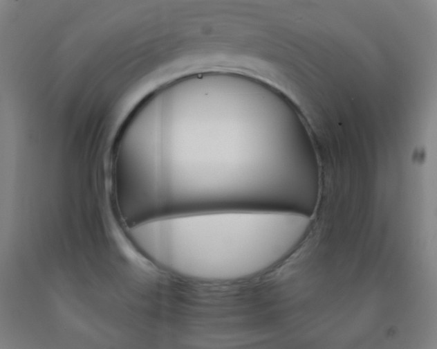 X0000093121515200709261002