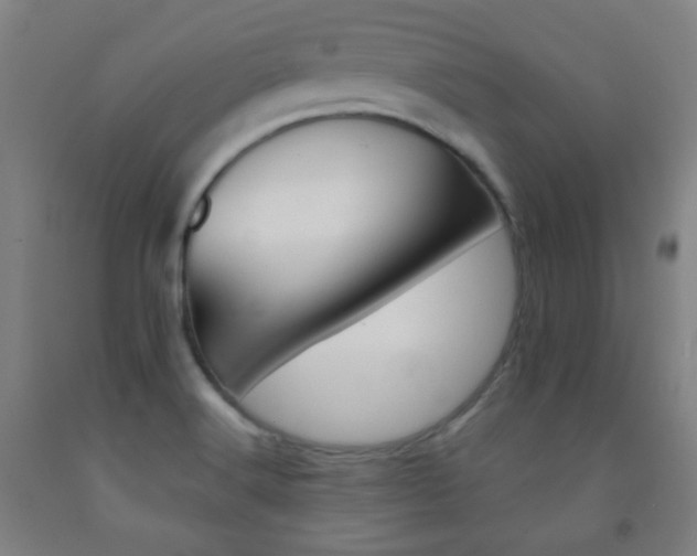 X0000093121516200709261002