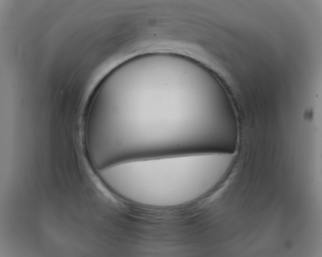 X0000093121517200709261002