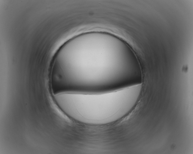 X0000093121518200709261003