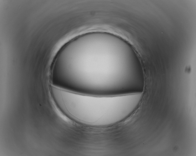 X0000093121519200709261003
