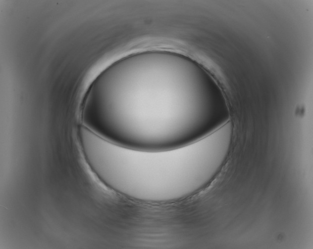 X0000093121520200709261003