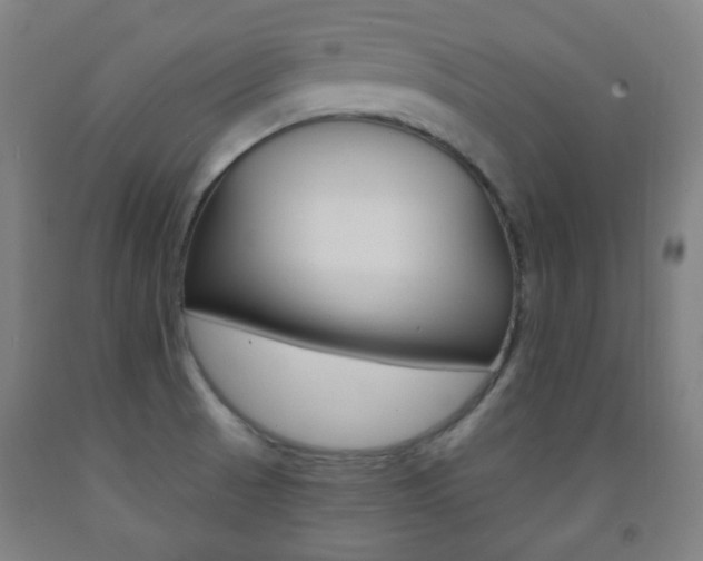 X0000093121521200709261003
