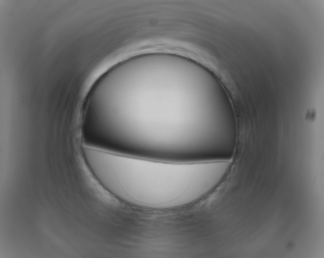 X0000093121522200709261003
