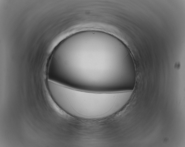 X0000093121523200709261003