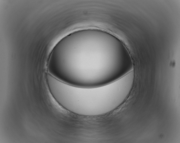 X0000093121524200709261003