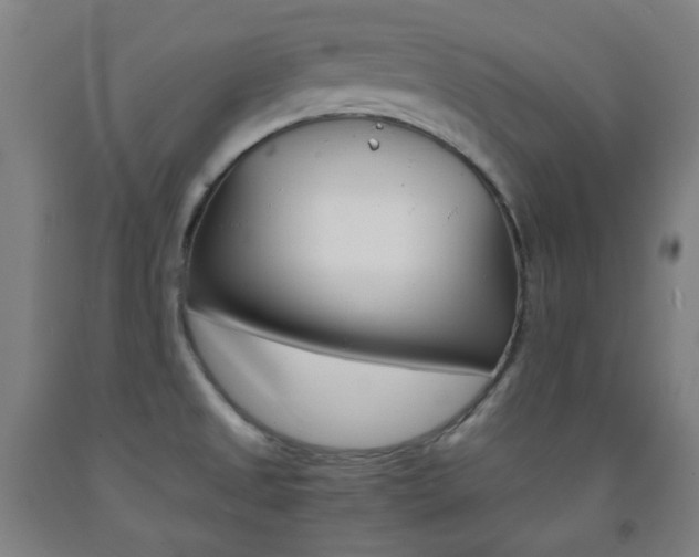 X0000093121525200709261003