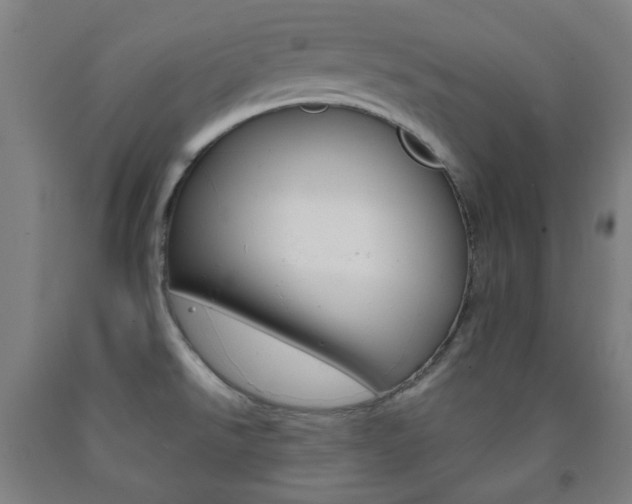 X0000093121526200709261003