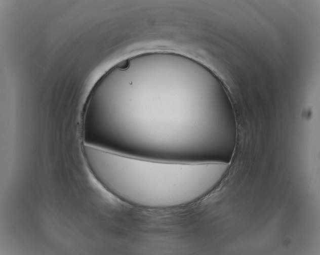 X0000093121527200709261003
