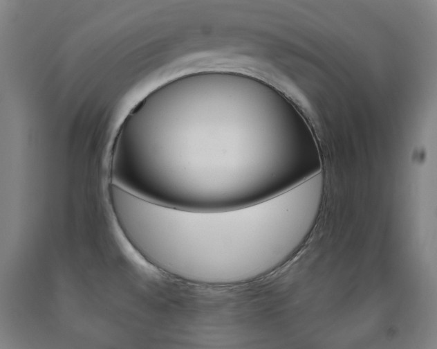 X0000093121528200709261003