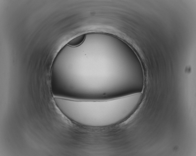 X0000093121529200709261003