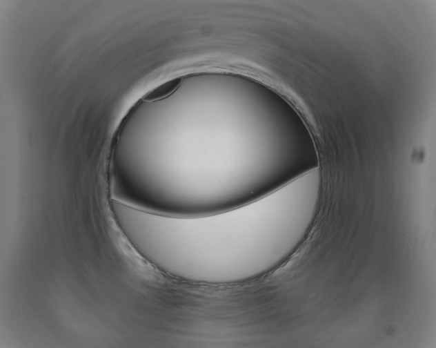 X0000093121530200709261003
