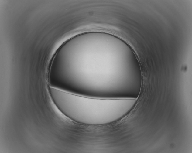 X0000093121531200709261003