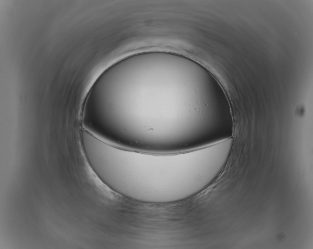 X0000093121532200709261003
