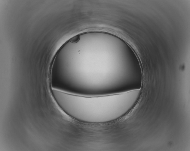 X0000093121533200709261003