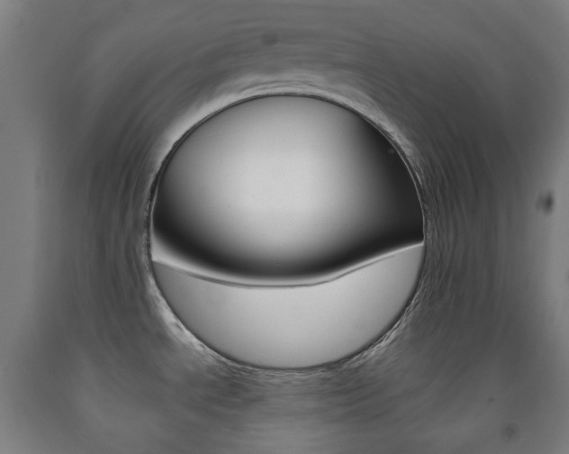 X0000093121534200709261003