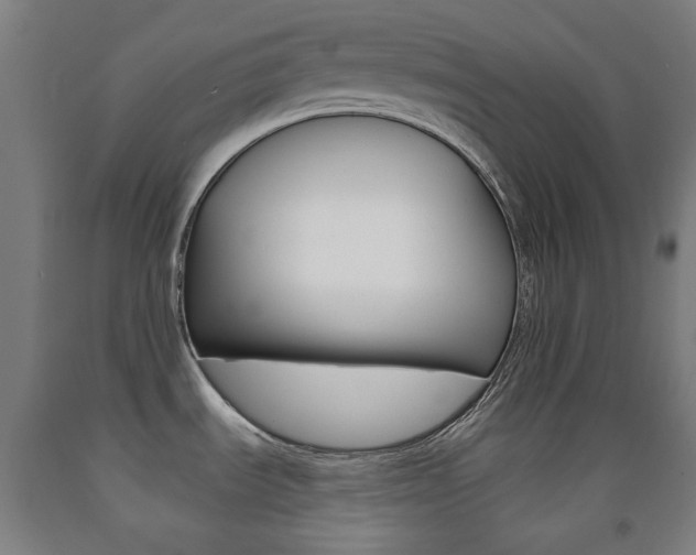 X0000093121535200709261003