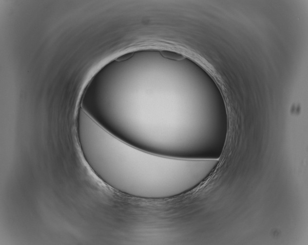 X0000093121536200709261003
