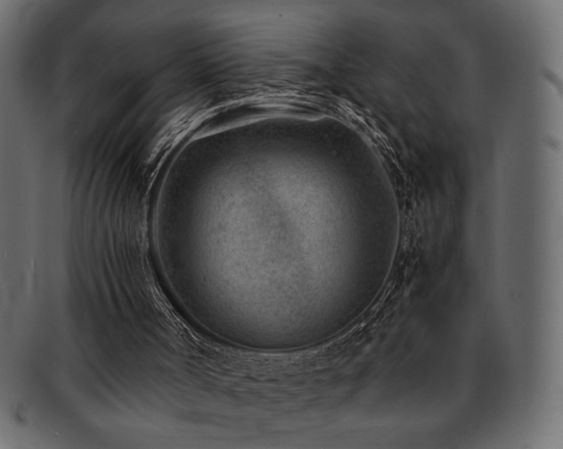 X0000093120002200709261337