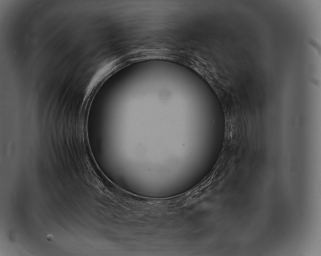 X0000093120004200709261337