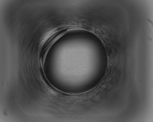 X0000093120005200709261337