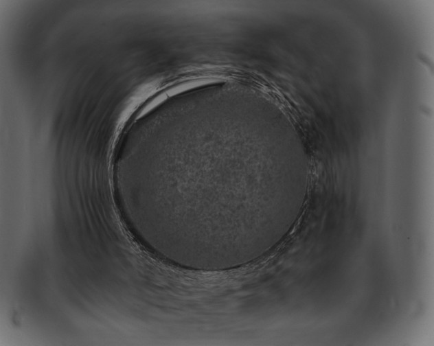 X0000093120006200709261337