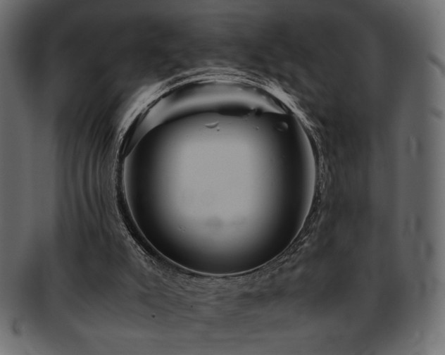 X0000093120007200709261337