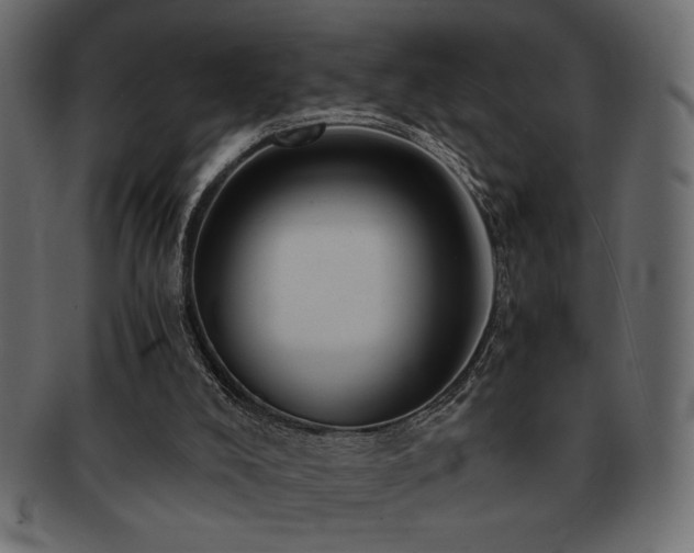 X0000093120008200709261337