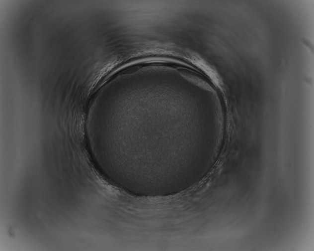 X0000093120009200709261337