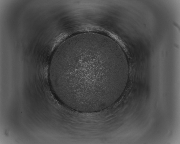 X0000093120010200709261337