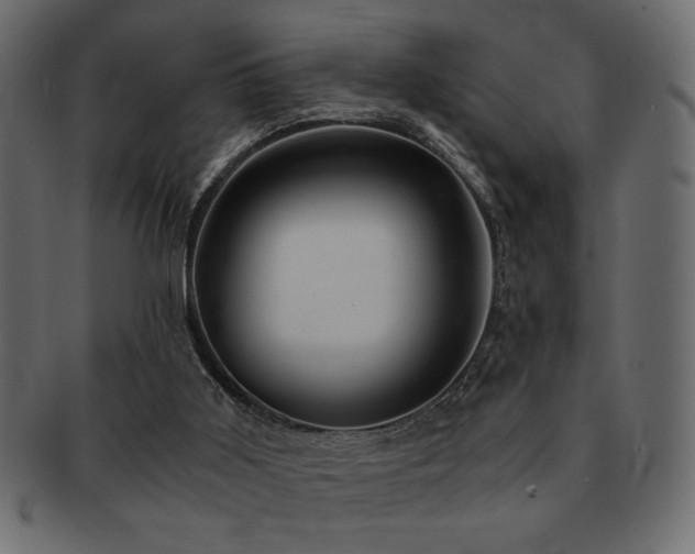 X0000093120011200709261337