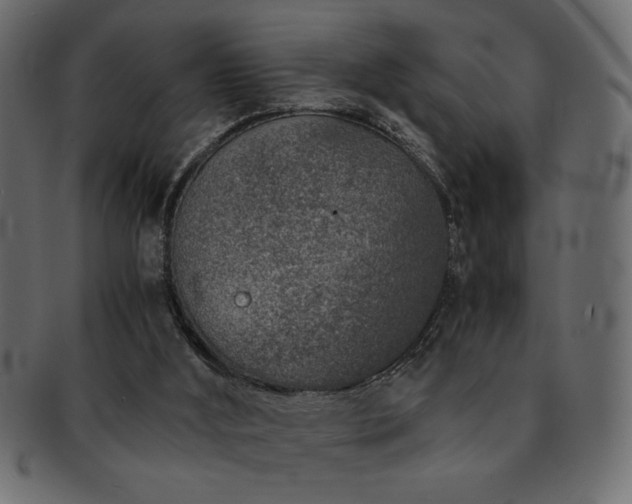 X0000093120012200709261337