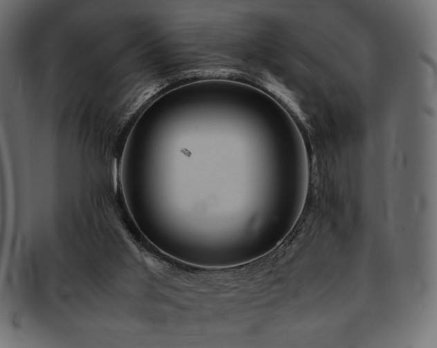 X0000093120013200709261337