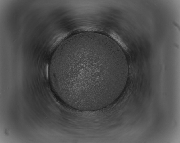 X0000093120014200709261337