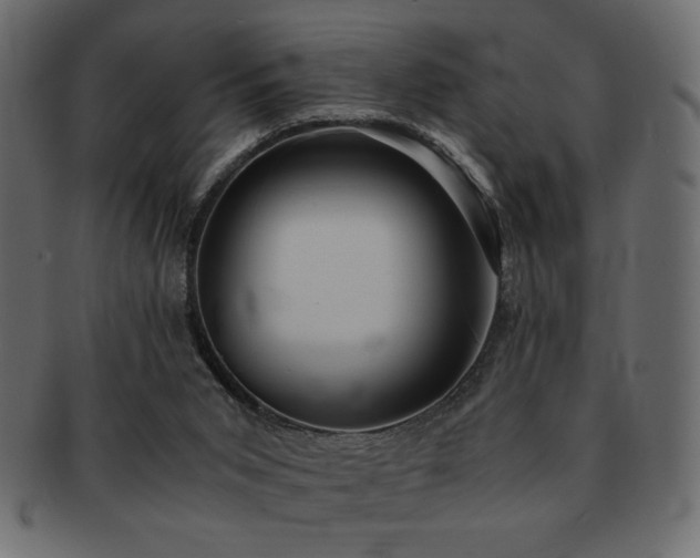 X0000093120015200709261337
