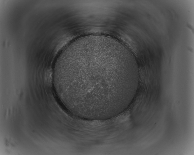 X0000093120016200709261336
