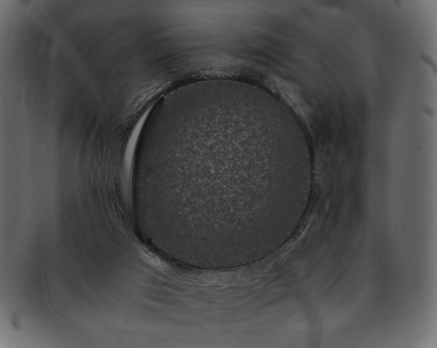 X0000093120017200709261336