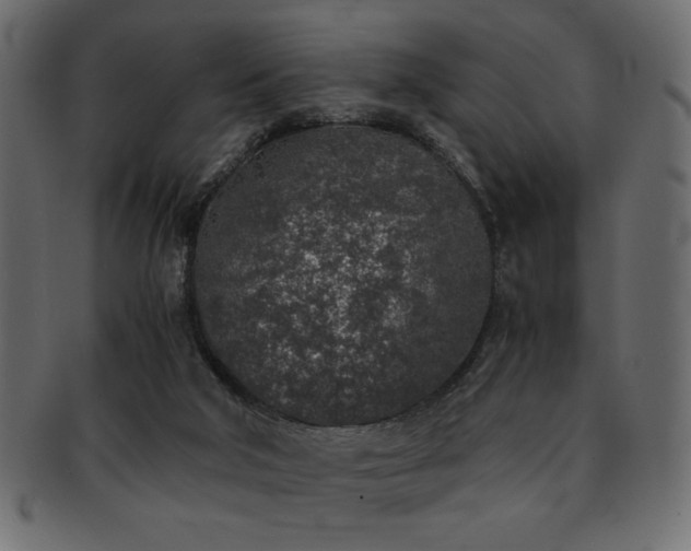 X0000093120018200709261336