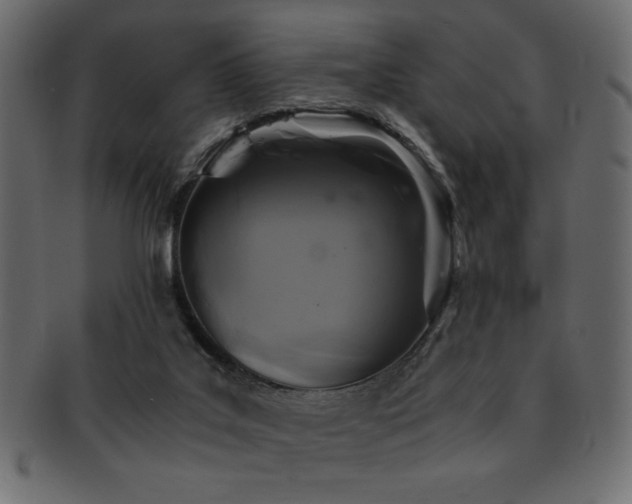 X0000093120019200709261336
