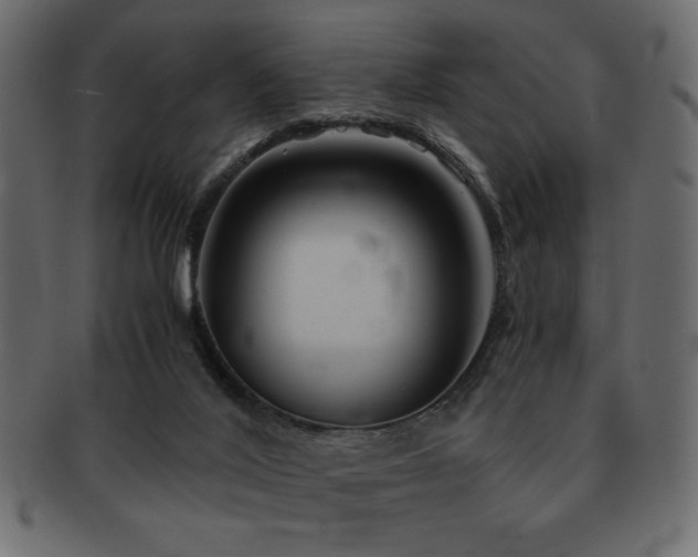 X0000093120020200709261336