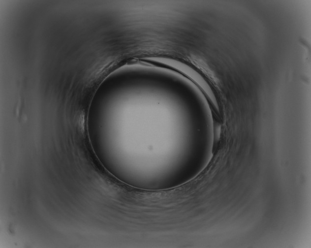 X0000093120021200709261336